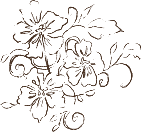 Floral Blossom Flourish Sketch